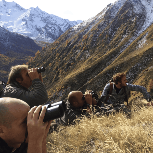 Alpine chamois hunting group alpine classic safari