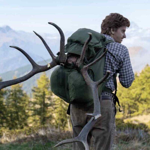 Leone red stag trophy mountain trophy