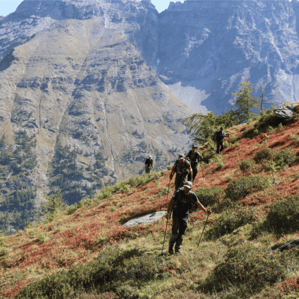 hunting for alpine chamois