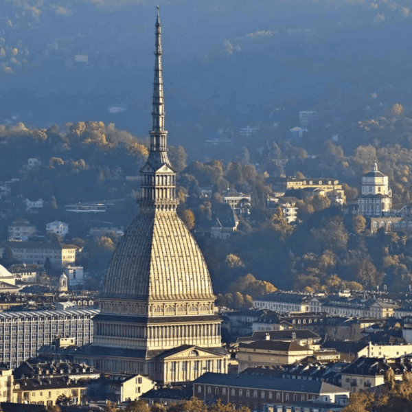 turin group alpine classic safari 3