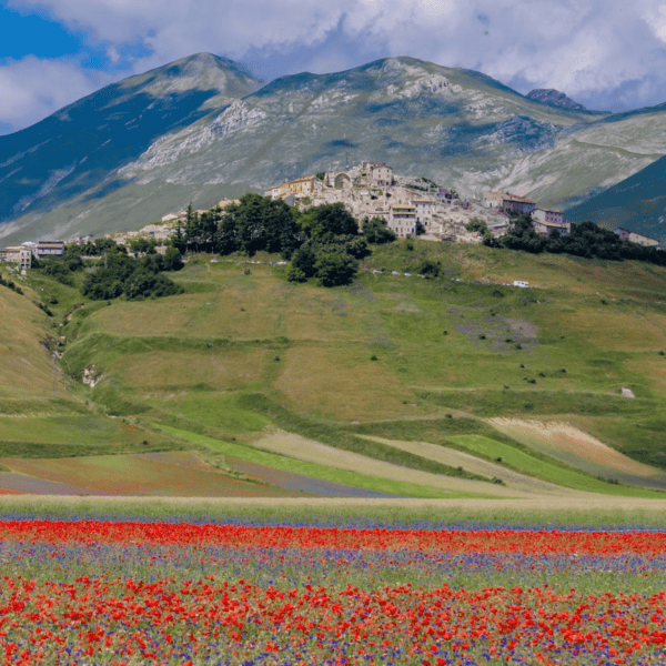 umbria castelluccio