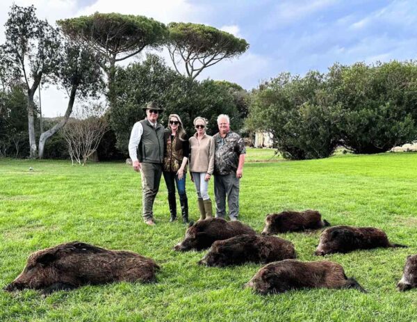 Driven wild boar hunt in Italy