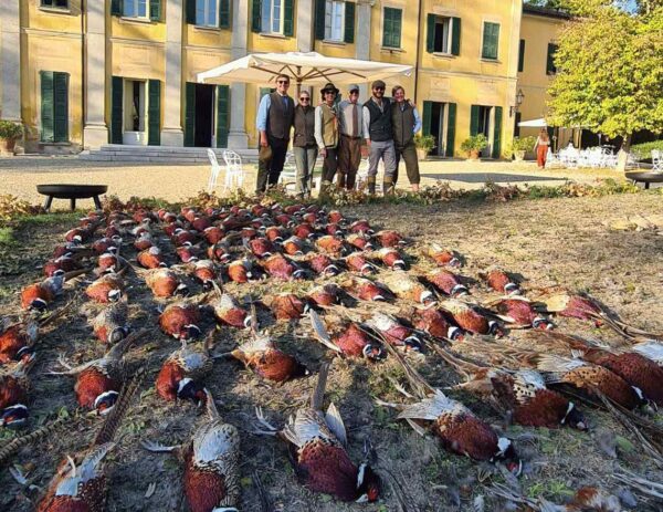 Pheasant shooting in Italy